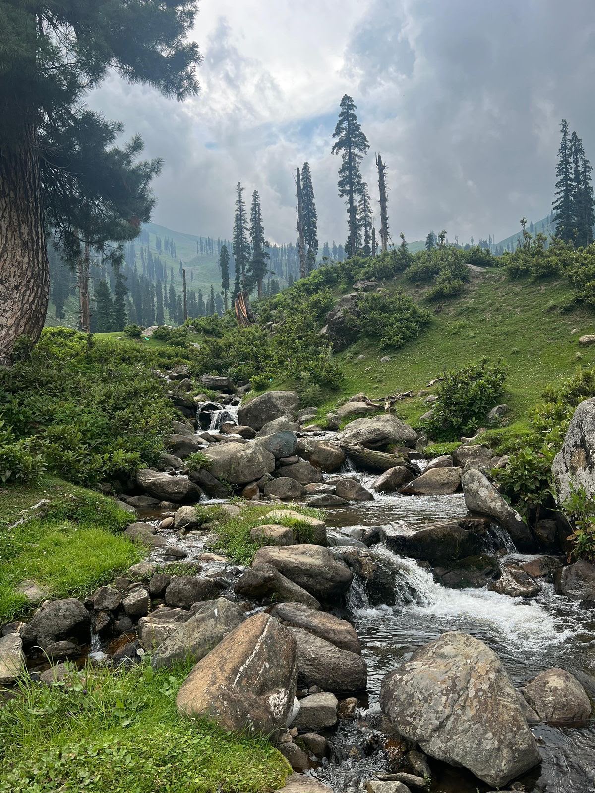 pahalgam